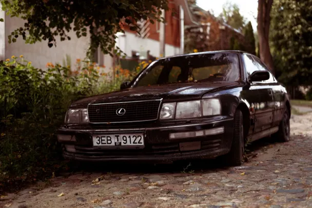 Casino Campo Bet Aplicación Android/iOS